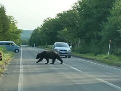 ق傳̊Вmc[Xgւ̓eʐ^1