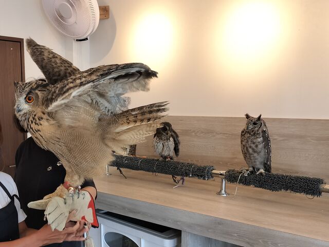 �r�悹�̌������Ē����܂���_�ӂꂠ���J�t�F ���ӂ肱����