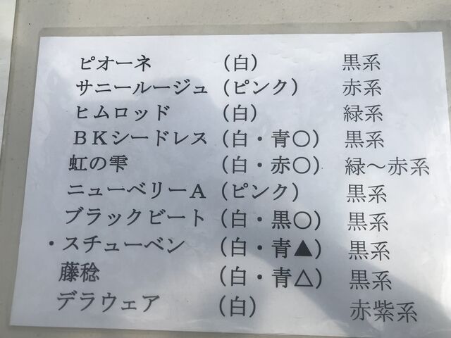 8��15�����_�Ŏ��n�ł���i��_�[���̋u�ό��_��(�����s�ό��Ԃǂ��Z���^�[�����x��)