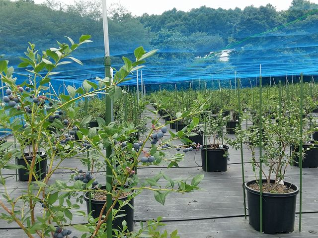 qǂłE݂₷w̖؂ł_vu[x[t@[ ``