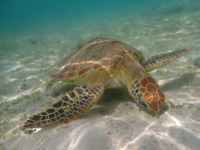 �A�J�E�~�K�����������ȁH�Ƃ��Ă����������ł��I_���C��