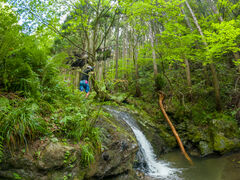 kiwi����̍��n�V�уA�h�x���`���[�c�A�[�Y OMUSUBI�ւ̓��e�ʐ^1