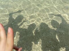 �݂�т���̒Ì����V�[�N���[�Y�ւ̓��e�ʐ^1