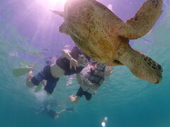 purin1988̋{blue܂ق΂ւ̓eʐ^1