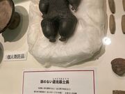 n̋TlÎiꕶٓj̓eʐ^1