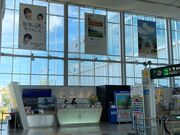 EbL[̖kB`όē̓eʐ^1