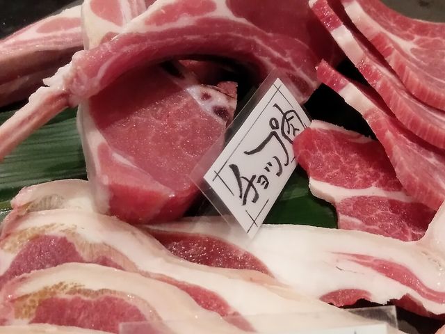 ������X�y�V����_�V�V���r