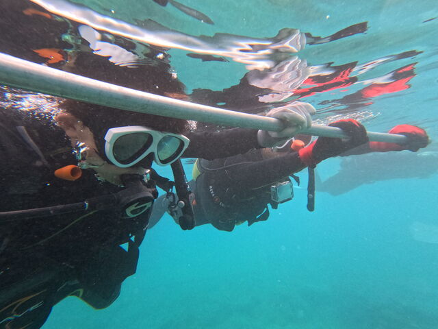 �_�ɕ߂܂�U�����Ă��炢�܂����B_�_�C�r���O�V���b�vTI.OCEAN