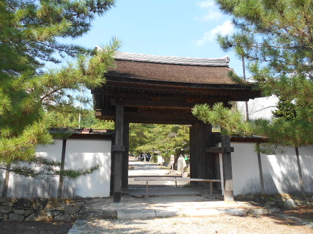 �g�V���[����̓��t���R��̓��e�ʐ^1