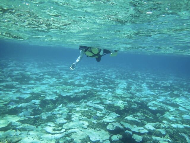 FƂǂ̂킢TS_JbNKChV[Lve