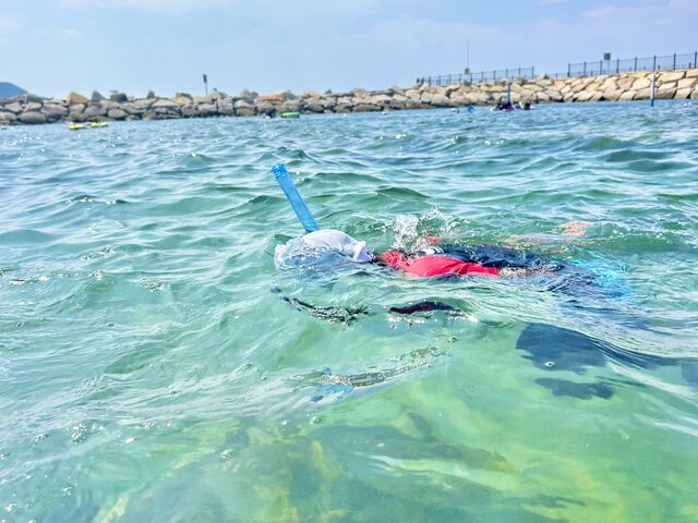 ��G���A�͐΂ň͂܂�Ă���̂ň��S_����T���r�[�`