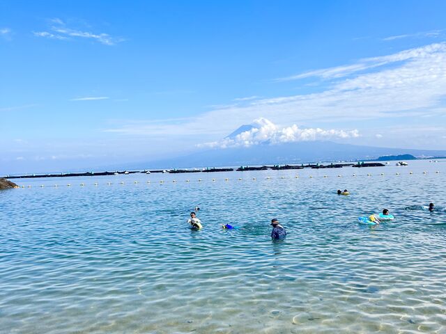 �C�݂���x�m�R��������B�_�ɉB�ꂿ���������
_����T���r�[�`