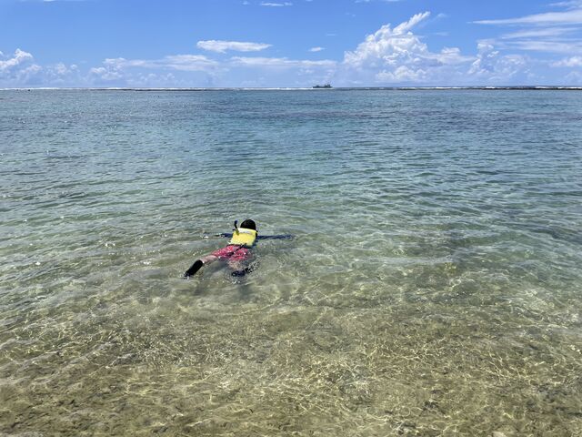 �q�ǂ������ŊC�̒��̂����Ă��܂����I_�V�F���V�[