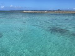 T{̃}Vbv }[Chւ̓eʐ^1