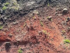 `̏\ac΃p[X|bgN[Yւ̓eʐ^1