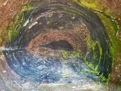 \ac΃p[X|bgN[Y̎ʐ^1