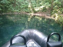 AXp̋{ÃAEghAZ^[ւ̓eʐ^1