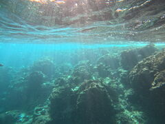 䂤Ȃ̉S_Cuւ̓eʐ^1