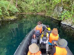 Cl̏\ac΃p[X|bgN[Yւ̓eʐ^1