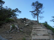 �g�V���[����̒Øa���Ղ̓��e�ʐ^1