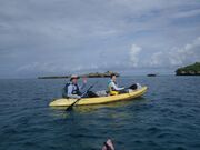 rikakỏJbNKChV[Lve̓eʐ^2