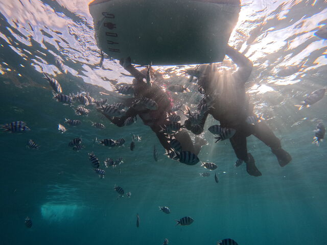 �������Ɛ̓��A�֌��������N���N�Ȏ��Ԃł�_CHILL DIVE