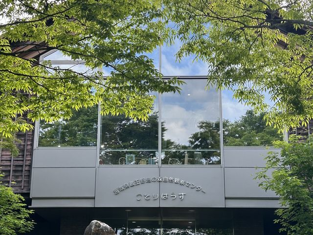 ���Ƃ�͂�������_���Ƃ�͂����i�{�錧�����쒹�̐X���R�ώ@�Z���^�[�j