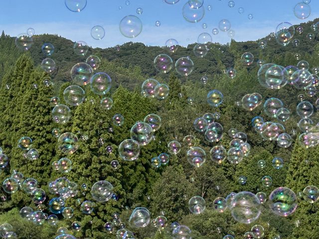 �V���{���ʂ̉��o_����䂠�܂Ă炷�S���i�� �����w�\���j