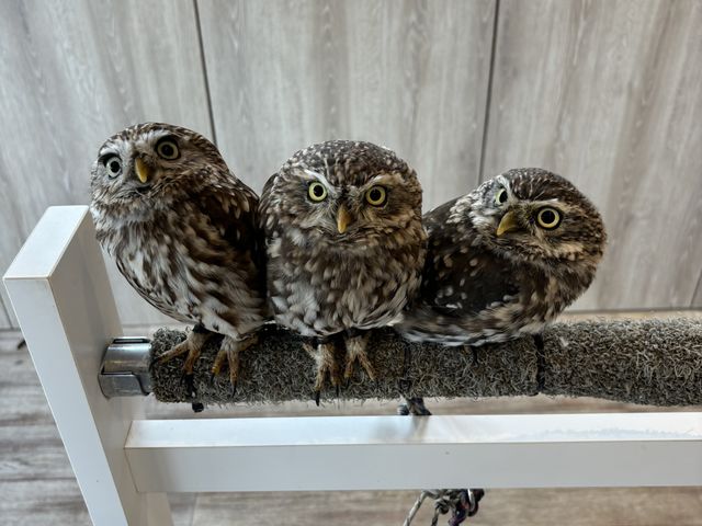 �݂�ȂƂĂ�����������_�ӂꂠ���J�t�F ���ӂ肱����