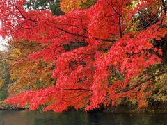 [̃Oh@RIB Tripւ̓eʐ^1