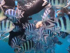 YURI.S̃sN}[Chւ̓eʐ^1