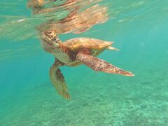 {Ó ADVENTURE PiPi̎ʐ^1