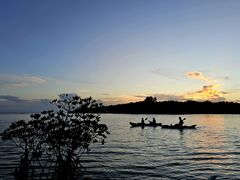 OeBNOHCUSΊ_ւ̓eʐ^1