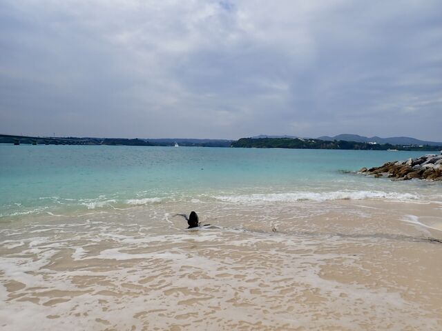 �ÉF���r�[�`_�ÉF���r�[�`