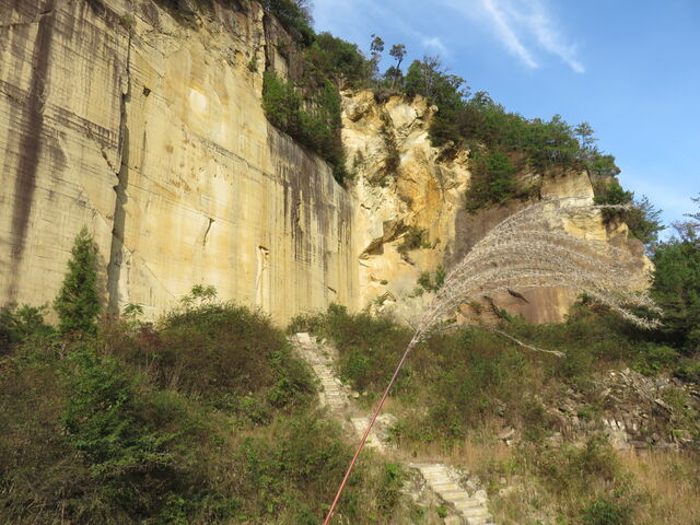 �i�F_�\�񃖑�