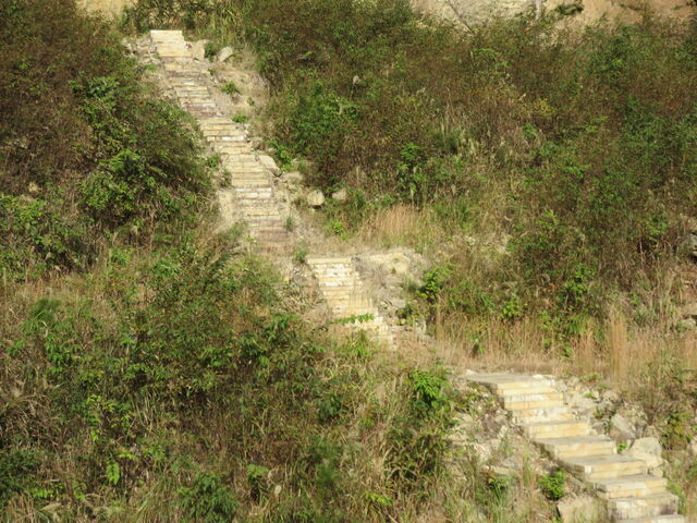 �i�F_�\�񃖑�