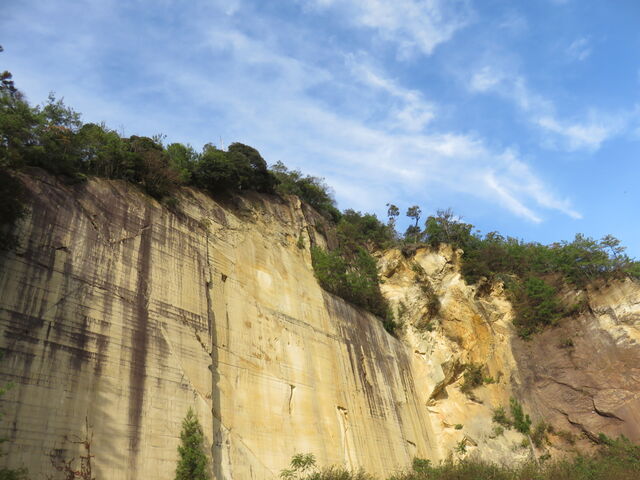 �i�F_�\�񃖑�