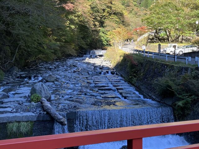 �߂��̕��i_�É��s �~�������� ������