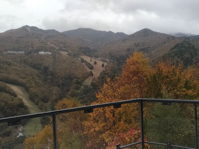 }T̎uꍂ R̉w̓eʐ^2