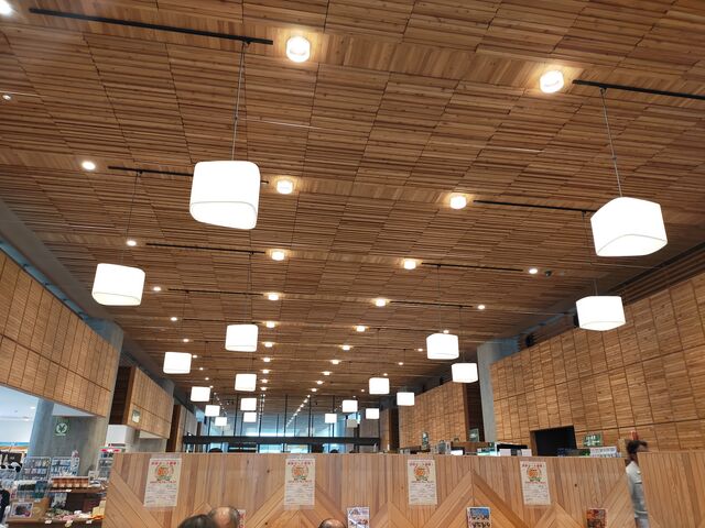 ���Y�ٓ��̓V��_���̉w���c����