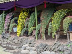 hidepo����̐V�h�䉑�ւ̓��e�ʐ^1