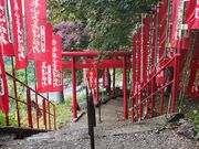 60̃Xm[{[h񂳂̂Èׂ̓eʐ^5