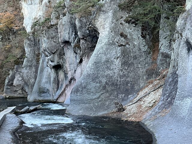 Shota̐kJ̍gt̓eʐ^1