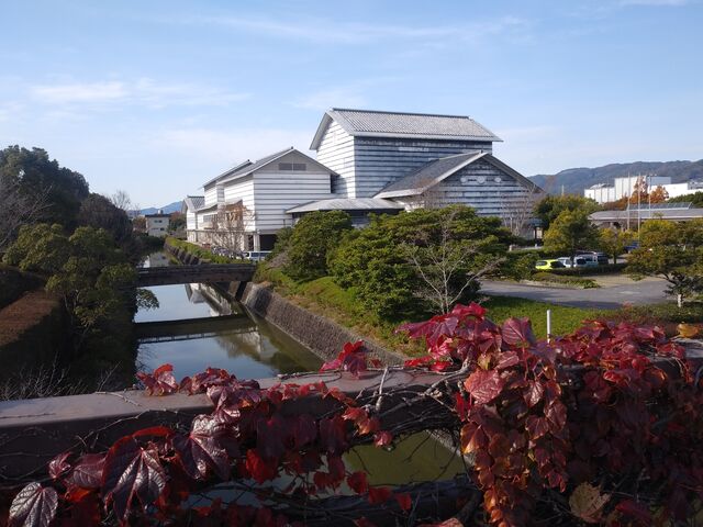 �傫�ȋ���n��Ɣ��p�ق̌����������ė��܂��B_���m�������p��