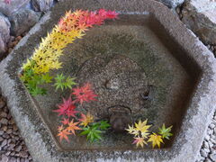 jR񂳂̈bώRւ̓eʐ^1