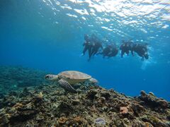 ݂炳̐Ί_ ADVENTURE PiPiւ̓eʐ^1