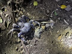 ȂȂ݂̐Ί_ ADVENTURE PiPiւ̓eʐ^1