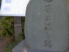 �T���v������̑哇����������ւ̓��e�ʐ^2