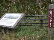 񂳂̎O΃p_CX̓eʐ^3