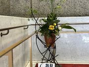 񂫂񂳂̍ێsٓpZ^[̓eʐ^2